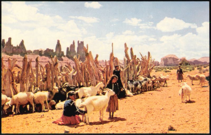 Navajo Sheep Herd with Girls Tending Sheep and Goats