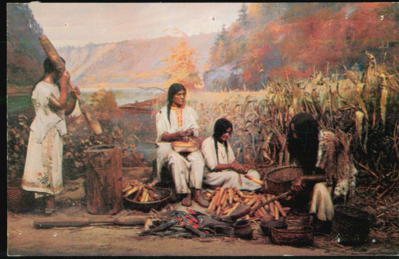 New York State Museum Albany Iroquois Indian Tribe Harvest