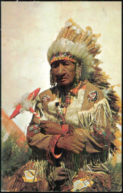 Old Indian Chief in Traditional Regalia with Headdress