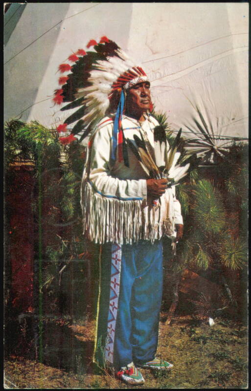 Native American Indian Chief in Traditional Headdress
