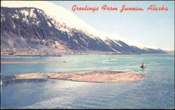 Log Boom and Mountainside Gold Mine on Gastineau Channel Postcard