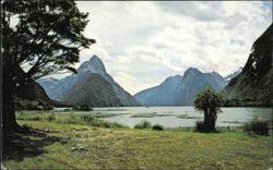 Milford Sound, New Zealand Postcard