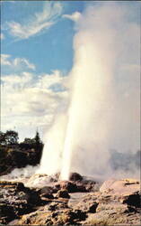 Geyser at Rotorua New Zealand Postcard