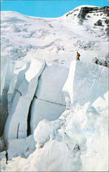 Mount Rainier National Park Glaciers Climbers on Ice Postcard