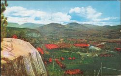 Looking North from Cathedral Ledge, White Mountains Postcard