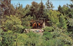 Burning Settler's Cabin Tom Sawyer's Island Disneyland Postcard