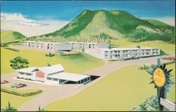 Quality Courts Motel - North Roanoke, Virginia Postcard