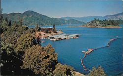 Shasta Lake Resort and Marina Postcard