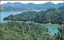 Lake Shasta, California Postcard