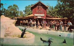 The Seal Pool and Old MacDonald's Farm Postcard