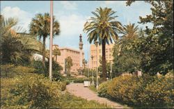 Jacksonville City Park Postcard