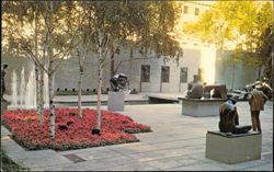 Museum of Modern Art Beautiful Gardens New York City Postcard