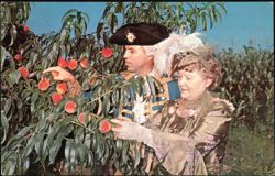 Paul Revere and His Lady Picking Peaches Hotel Yorktowne Postcard
