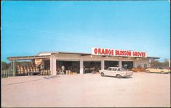 Orange Blossom Groves, Clearwater, FL Postcard