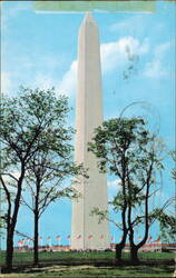 The Washington Monument, Washington, D. C. Postcard