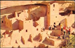 Cliff Palace Ruin Mesa Verde National Park Postcard