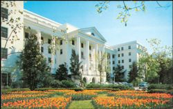 North Entrance and Formal Tulip Beds Postcard