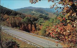 The Blue Ridge Parkway in Doughton Park North Carolina Postcard