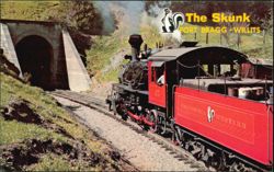 The Super Skunk Train Tunnel No. 2 California Western Postcard