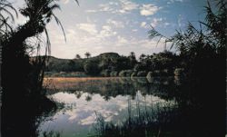 Rio de San Ignacio, Baja California Sur Postcard