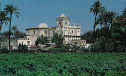 Mision de San Ignacio, Baja California Postcard