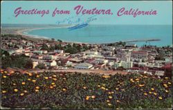 Greetings from Ventura and Pierpont Bay, California Postcard