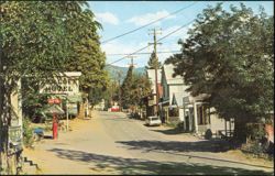 Street Scene with Buildings and Trees Postcard
