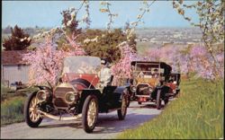 1909 Pierce Arrow, Stearns, and Stevens Duryea Postcard