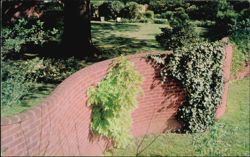 Serpentine Wall - University of Virginia Postcard