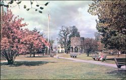 Famous Old Stone Mill at Touro Park Postcard