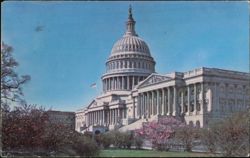 United States Capitol Building, Washington, D.C. Postcard