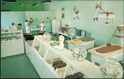 Crump's Candy Kitchen Interior View Harbor Springs MI Postcard