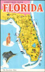 Florida Greetings Map State Bird and Flower Postcard