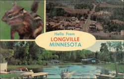 Chipmunk and Aerial and Waterfront Views Postcard