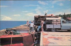 Port of La Rivière Sens - Exportation of Bananas Postcard