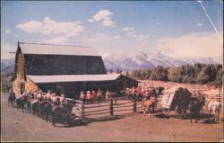 Cattle Ranch in Teton Valley, Guests and Horses Postcard