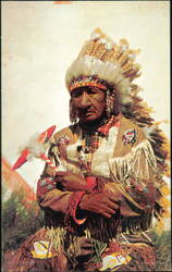 Old Indian Chief in Traditional Headdress and Regalia Postcard