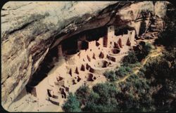 View of Spruce Tree House from the Cañon Rim Postcard