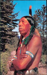 Native American Man in Traditional Attire with Feather Postcard