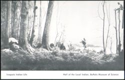 Iroquois Indian Life Exhibit Buffalo Museum of Science Postcard
