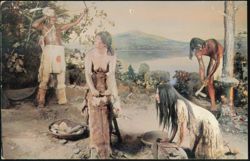 New York State Museum Seneca Indian Family Diorama Postcard