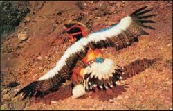 Indian Eagle Dancer Pueblo Indians Postcard