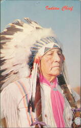 Indian Chief in Traditional Headdress and Regalia Postcard