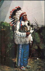 Arapahoe Chief in Traditional Headdress and Regalia Postcard