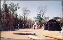The Indian Village - Long House - Niagara Falls, Canada Postcard