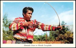 Seminole Brave in Florida Everglades with Bow and Arrow Postcard