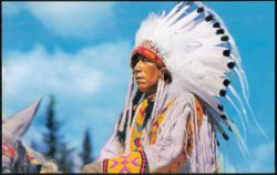 North American Indian Chief Yellowface Postcard