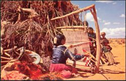 Navajo Weaver At Loom In Desert Landscape Postcard
