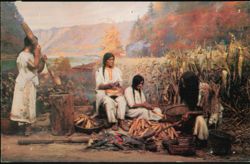 New York State Museum Albany Iroquois Indian Tribe Harvest Postcard