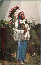 Native American Indian Chief in Traditional Headdress Postcard